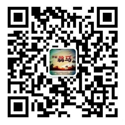 骉马机油[香港德国犇赤宇能骉马科技有限公司]